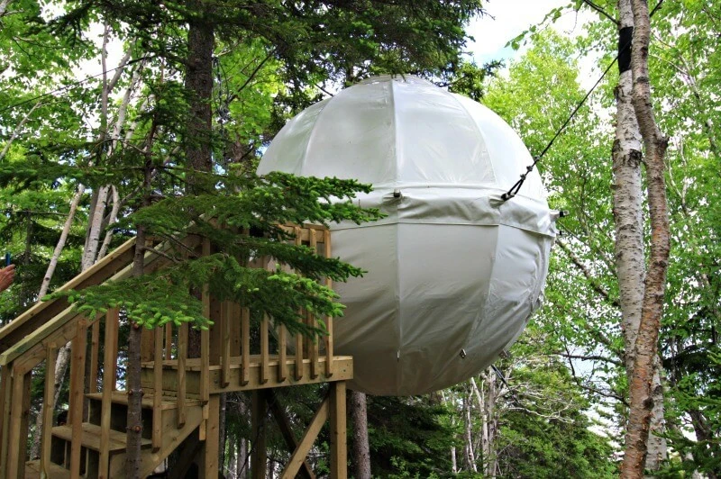 Treehouses tent Treehouses tent